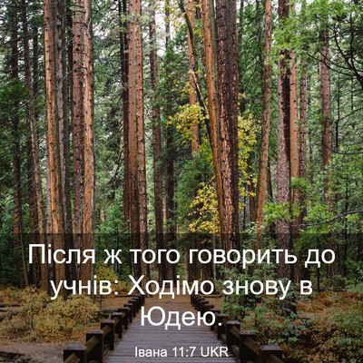 Picture 03 - Івана 11:7 UKR - Після ж того говорить до - Bible Verse Picture