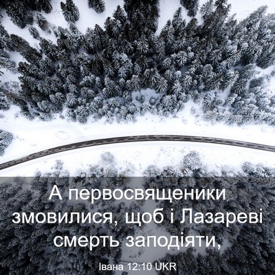 Picture 03 - Івана 12:10 UKR - А первосвященики - Bible Verse Picture