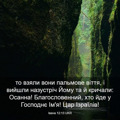 Picture 03 - Івана 12:13 UKR - то взяли вони пальмове - Bible Verse Picture