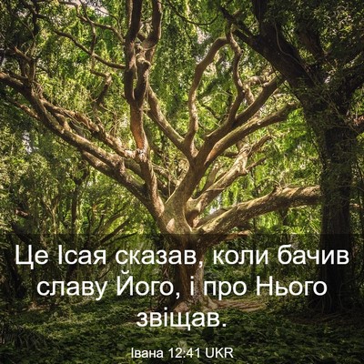 Picture 03 - Івана 12:41 UKR - Це Ісая сказав, коли бачив - Bible Verse Picture