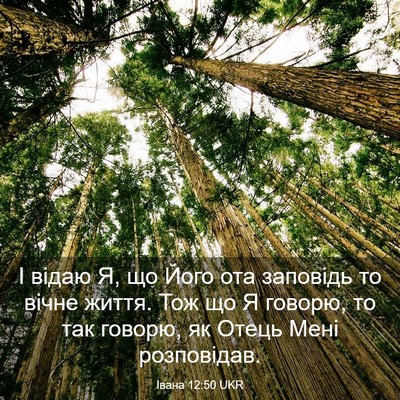 Picture 03 - Івана 12:50 UKR - І відаю Я, що Його ота - Bible Verse Picture