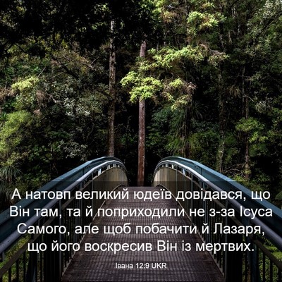 Picture 03 - Івана 12:9 UKR - А натовп великий юдеїв - Bible Verse Picture