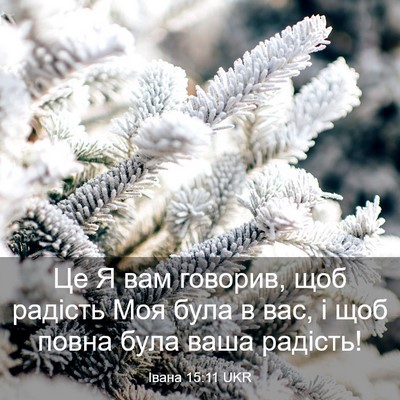 Picture 03 - Івана 15:11 UKR - Це Я вам говорив, щоб - Bible Verse Picture