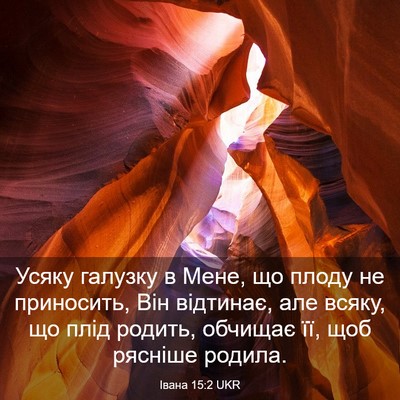 Picture 03 - Івана 15:2 UKR - Усяку галузку в Мене, що - Bible Verse Picture
