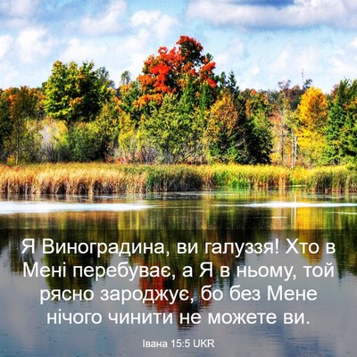 Picture 03 - Івана 15:5 UKR - Я Виноградина, ви галуззя! - Bible Verse Picture