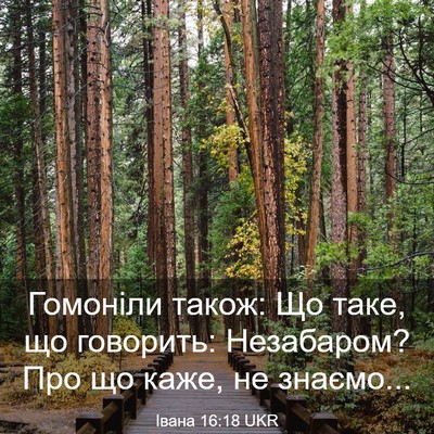 Picture 03 - Івана 16:18 UKR - Гомоніли також: Що таке, що - Bible Verse Picture