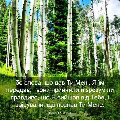 Picture 03 - Івана 17:8 UKR - бо слова, що дав Ти Мені, Я - Bible Verse Picture