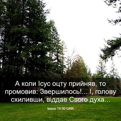 Picture 03 - Івана 19:30 UKR - А коли Ісус оцту прийняв, - Bible Verse Picture