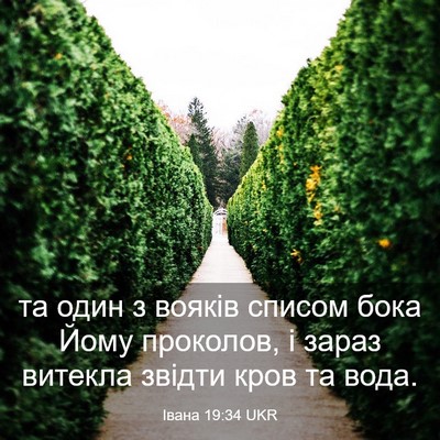 Picture 03 - Івана 19:34 UKR - та один з вояків списом - Bible Verse Picture