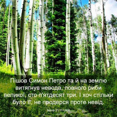 Picture 03 - Івана 21:11 UKR - Пішов Симон Петро та й на - Bible Verse Picture