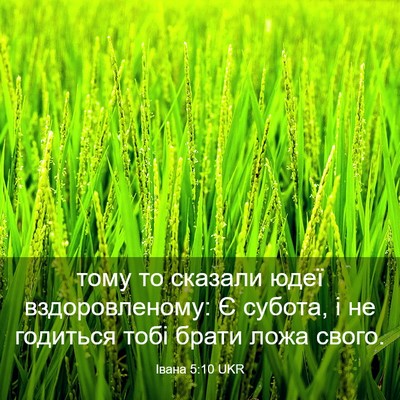 Picture 03 - Івана 5:10 UKR - тому то сказали юдеї - Bible Verse Picture