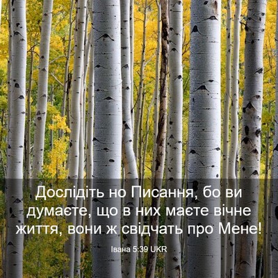 Picture 03 - Івана 5:39 UKR - Дослідіть но Писання, бо ви - Bible Verse Picture