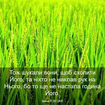 Picture 03 - Івана 7:30 UKR - Тож шукали вони, щоб - Bible Verse Picture