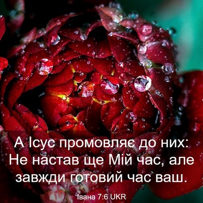 Picture 03 - Івана 7:6 UKR - А Ісус промовляє до них: Не - Bible Verse Picture
