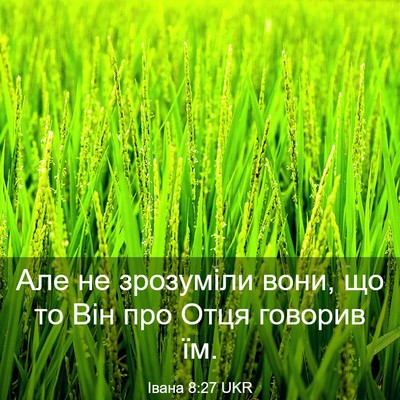 Picture 03 - Івана 8:27 UKR - Але не зрозуміли вони, що - Bible Verse Picture