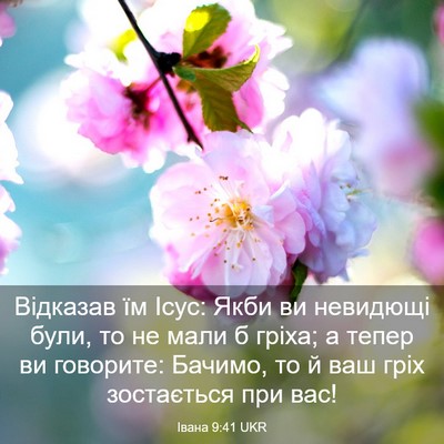 Picture 03 - Івана 9:41 UKR - Відказав їм Ісус: Якби ви - Bible Verse Picture