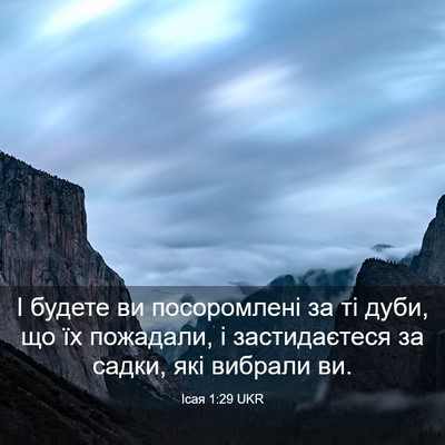 Picture 03 - Ісая 1:29 UKR - І будете ви посоромлені за - Bible Verse Picture