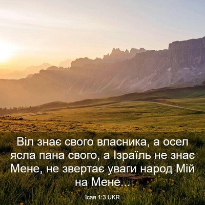 Picture 03 - Ісая 1:3 UKR - Віл знає свого власника, а - Bible Verse Picture