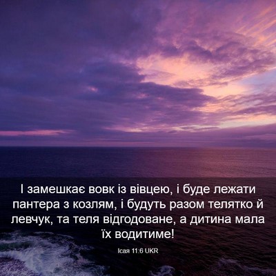 Picture 03 - Ісая 11:6 UKR - І замешкає вовк із вівцею, - Bible Verse Picture