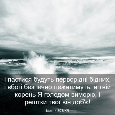Picture 03 - Ісая 14:30 UKR - І пастися будуть - Bible Verse Picture