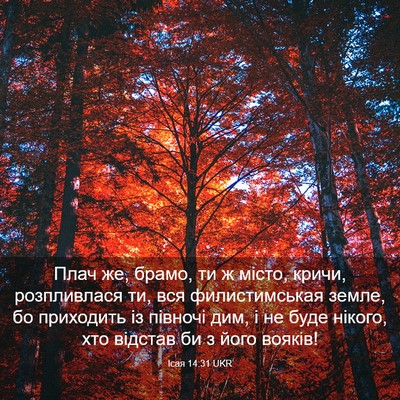 Picture 03 - Ісая 14:31 UKR - Плач же, брамо, ти ж місто, - Bible Verse Picture