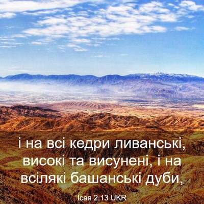 Picture 03 - Ісая 2:13 UKR - і на всі кедри ливанські, - Bible Verse Picture