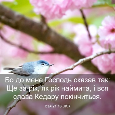 Picture 03 - Ісая 21:16 UKR - Бо до мене Господь сказав - Bible Verse Picture
