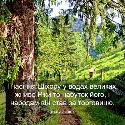 Picture 03 - Ісая 23:3 UKR - І насіння Шіхору у водах - Bible Verse Picture