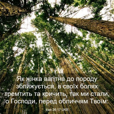 Picture 03 - Ісая 26:17 UKR - Як жінка вагітна до породу - Bible Verse Picture