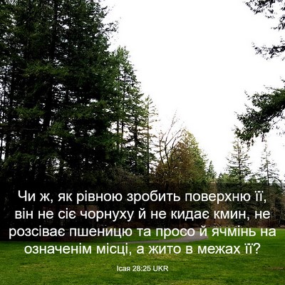 Picture 03 - Ісая 28:25 UKR - Чи ж, як рівною зробить - Bible Verse Picture