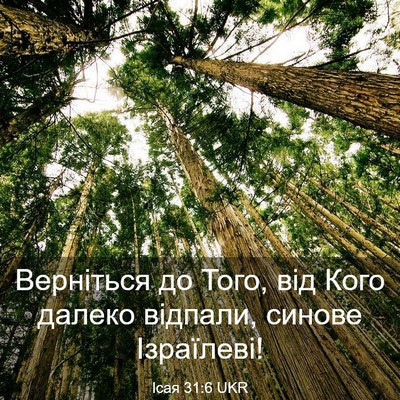 Picture 03 - Ісая 31:6 UKR - Верніться до Того, від Кого - Bible Verse Picture