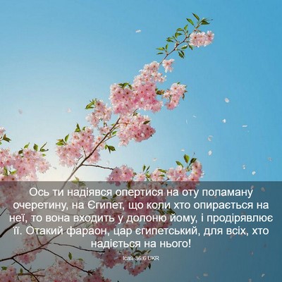Picture 03 - Ісая 36:6 UKR - Ось ти надіявся опертися - Bible Verse Picture