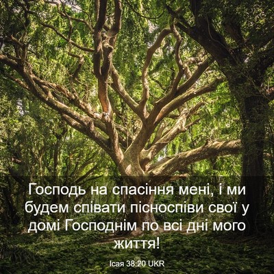 Picture 03 - Ісая 38:20 UKR - Господь на спасіння мені, і - Bible Verse Picture