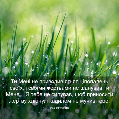 Picture 03 - Ісая 43:23 UKR - Ти Мені не приводив ягнят - Bible Verse Picture