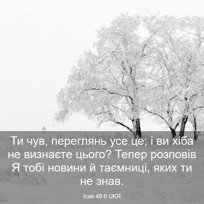 Picture 03 - Ісая 48:6 UKR - Ти чув, переглянь усе це; і - Bible Verse Picture