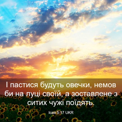 Picture 03 - Ісая 5:17 UKR - І пастися будуть овечки, - Bible Verse Picture