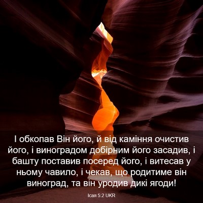Picture 03 - Ісая 5:2 UKR - І обкопав Він його, й від - Bible Verse Picture