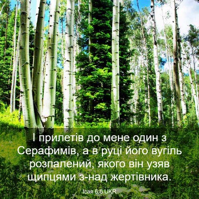Picture 03 - Ісая 6:6 UKR - І прилетів до мене один з - Bible Verse Picture