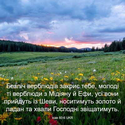 Picture 03 - Ісая 60:6 UKR - Безліч верблюдів закриє - Bible Verse Picture