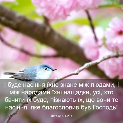 Picture 03 - Ісая 61:9 UKR - І буде насіння їхнє знане - Bible Verse Picture