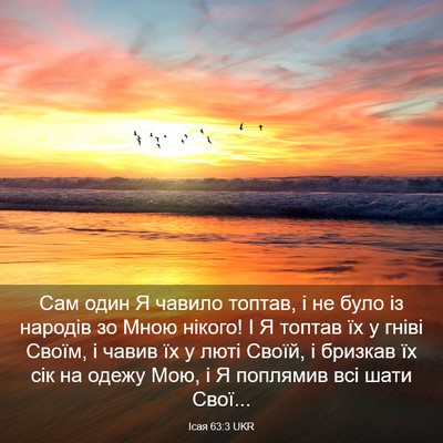 Picture 03 - Ісая 63:3 UKR - Сам один Я чавило топтав, і - Bible Verse Picture