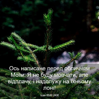 Picture 03 - Ісая 65:6 UKR - Ось написане перед - Bible Verse Picture