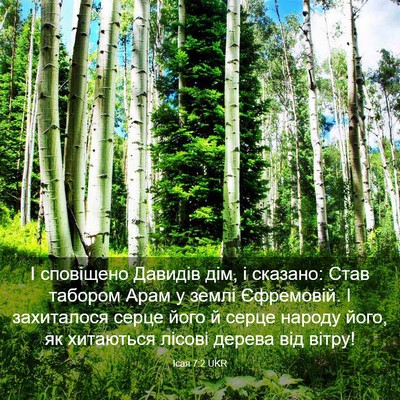 Picture 03 - Ісая 7:2 UKR - І сповіщено Давидів дім, і - Bible Verse Picture