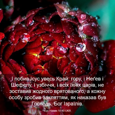 Picture 03 - Ісус Навин 10:40 UKR - І побив Ісус увесь Край: - Bible Verse Picture