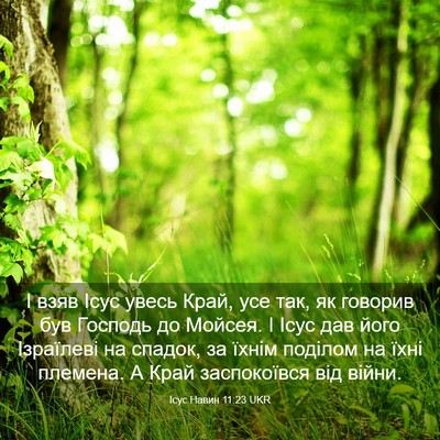 Picture 03 - Ісус Навин 11:23 UKR - І взяв Ісус увесь Край, усе - Bible Verse Picture
