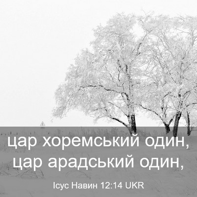 Picture 03 - Ісус Навин 12:14 UKR - цар хоремський один, цар - Bible Verse Picture
