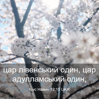 Picture 03 - Ісус Навин 12:15 UKR - цар лівенський один, цар - Bible Verse Picture