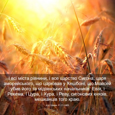 Picture 03 - Ісус Навин 13:21 UKR - і всі міста рівнини, і все - Bible Verse Picture