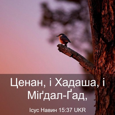 Picture 03 - Ісус Навин 15:37 UKR - Ценан, і Хадаша, і - Bible Verse Picture