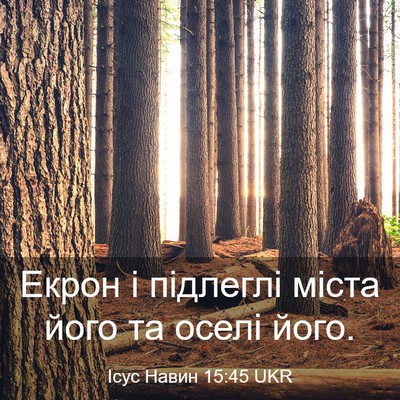 Picture 03 - Ісус Навин 15:45 UKR - Екрон і підлеглі міста - Bible Verse Picture